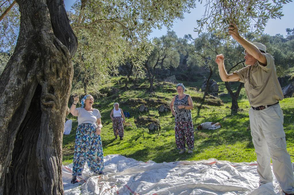 Agora Pansiyon Kapikiri Exteriör bild